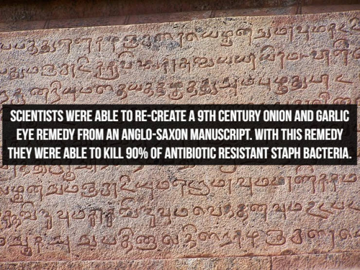 Prepare Your Brain For Some Historical Facts