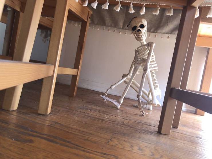 Skeleton Finally Gets Adopted