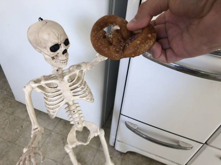 Skeleton Finally Gets Adopted