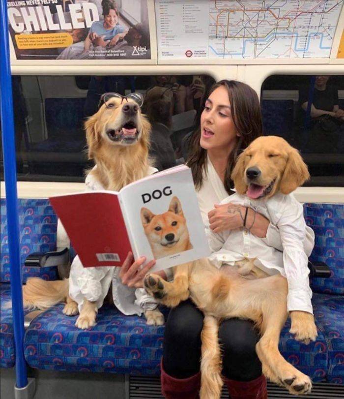 She Loves Her Dogs So Much! And It’s Mutual