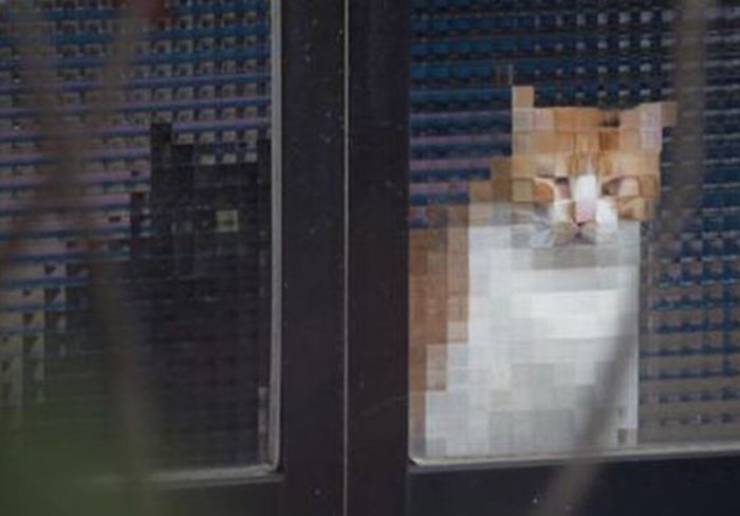 These Cats Are Pixelated!