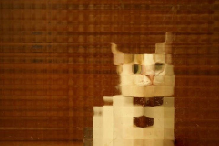 These Cats Are Pixelated!