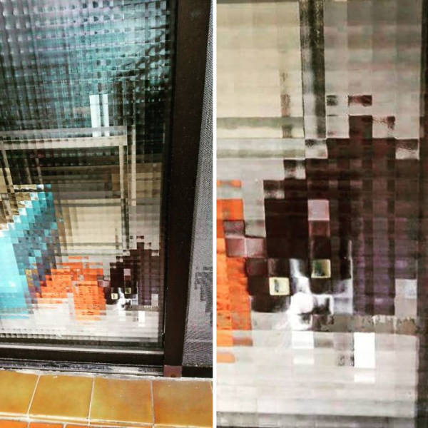 These Cats Are Pixelated!