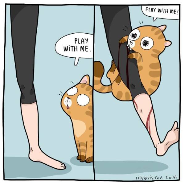 Every Cat Owner Can Feel These Comics