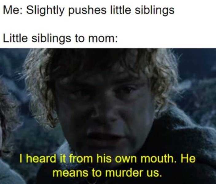 Throw These “Lord Of The Rings” Memes Into Mount Doom!