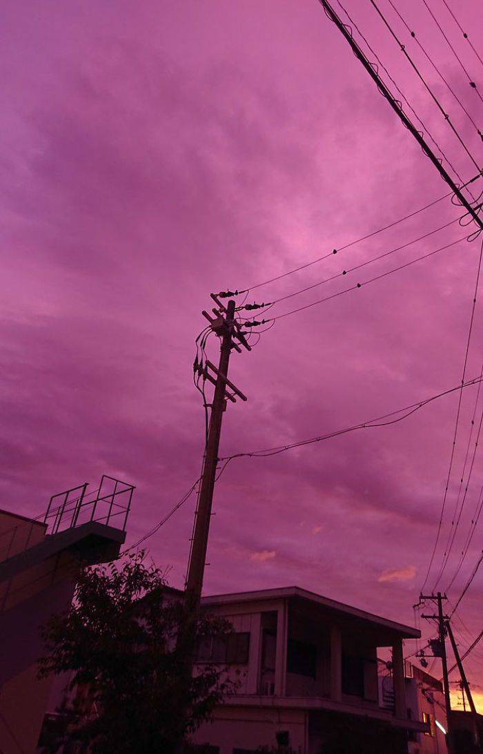 Japan’s Skies Turn Purple, But It’s Not An Innocent View (20 pics ...