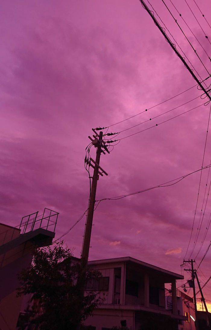 Japan’s Skies Turn Purple, But It’s Not An Innocent View