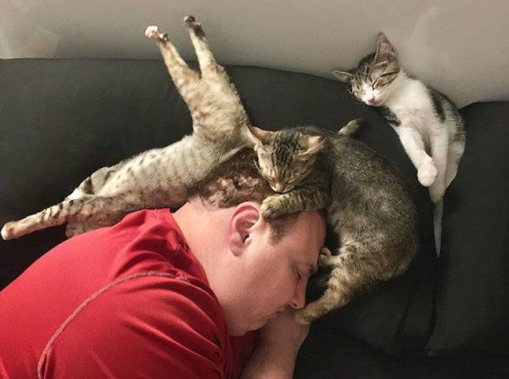 They Can Sleep Anywhere!