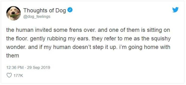 If We Could Read Dogs’ Minds