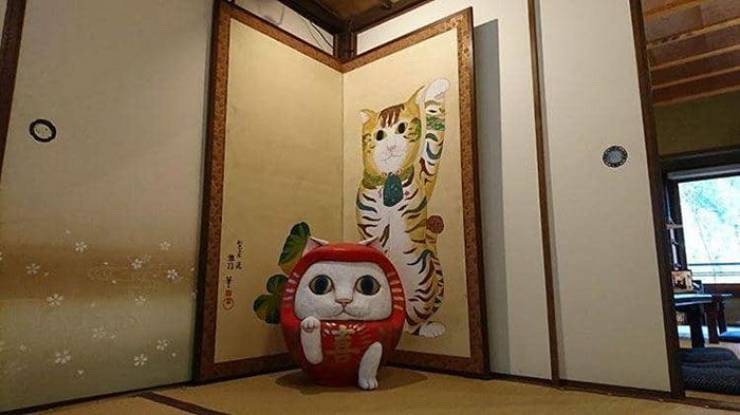 They Even Have A Cat Shrine In Japan!