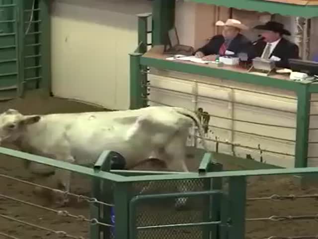 Texas Livestock Auction Is Intense!