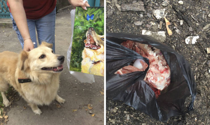 9-Year-Old Volunteer Who Makes Money For Animal Shelters Using His Talent