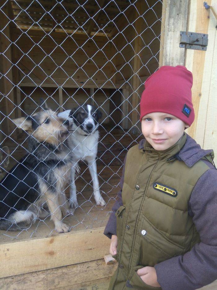 9-Year-Old Volunteer Who Makes Money For Animal Shelters Using His Talent