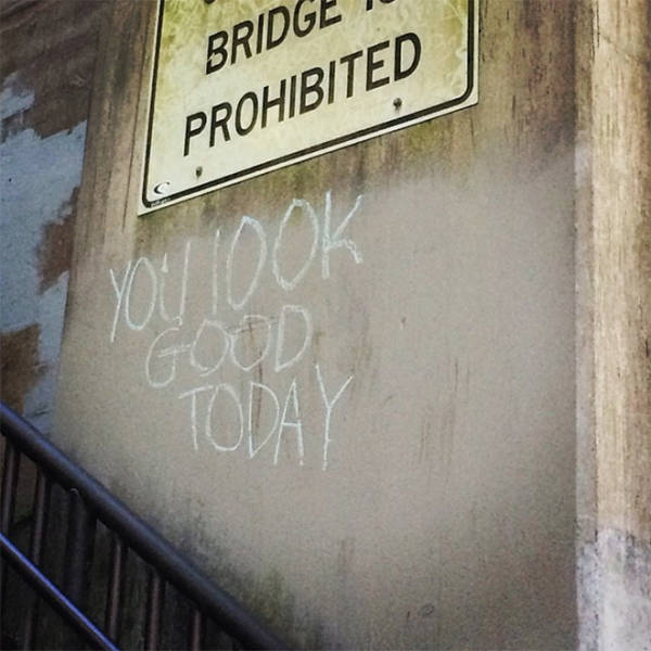 These Are Some Very Nice And Polite Vandals