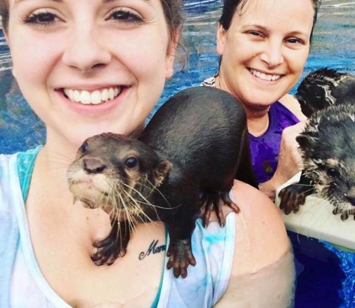 Wanna Swim With Little Otters?