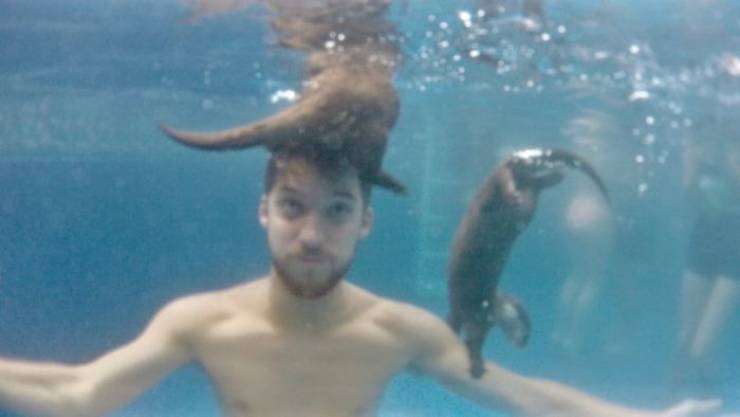 Wanna Swim With Little Otters?