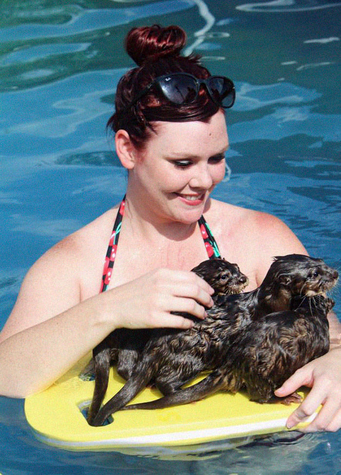 Wanna Swim With Little Otters?
