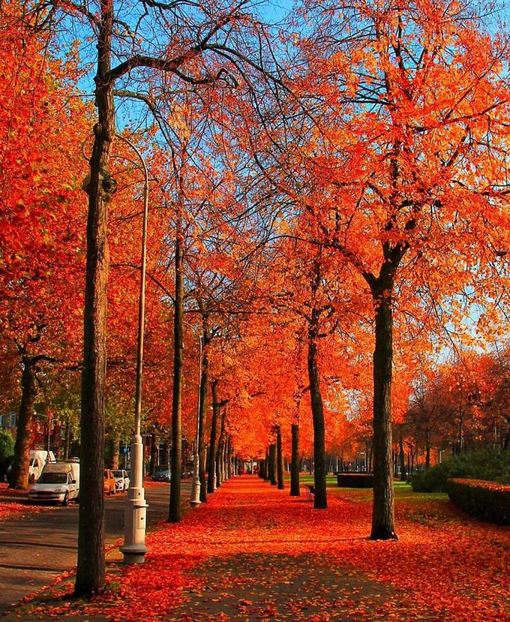 Autumn Is Different In Different Parts Of The World