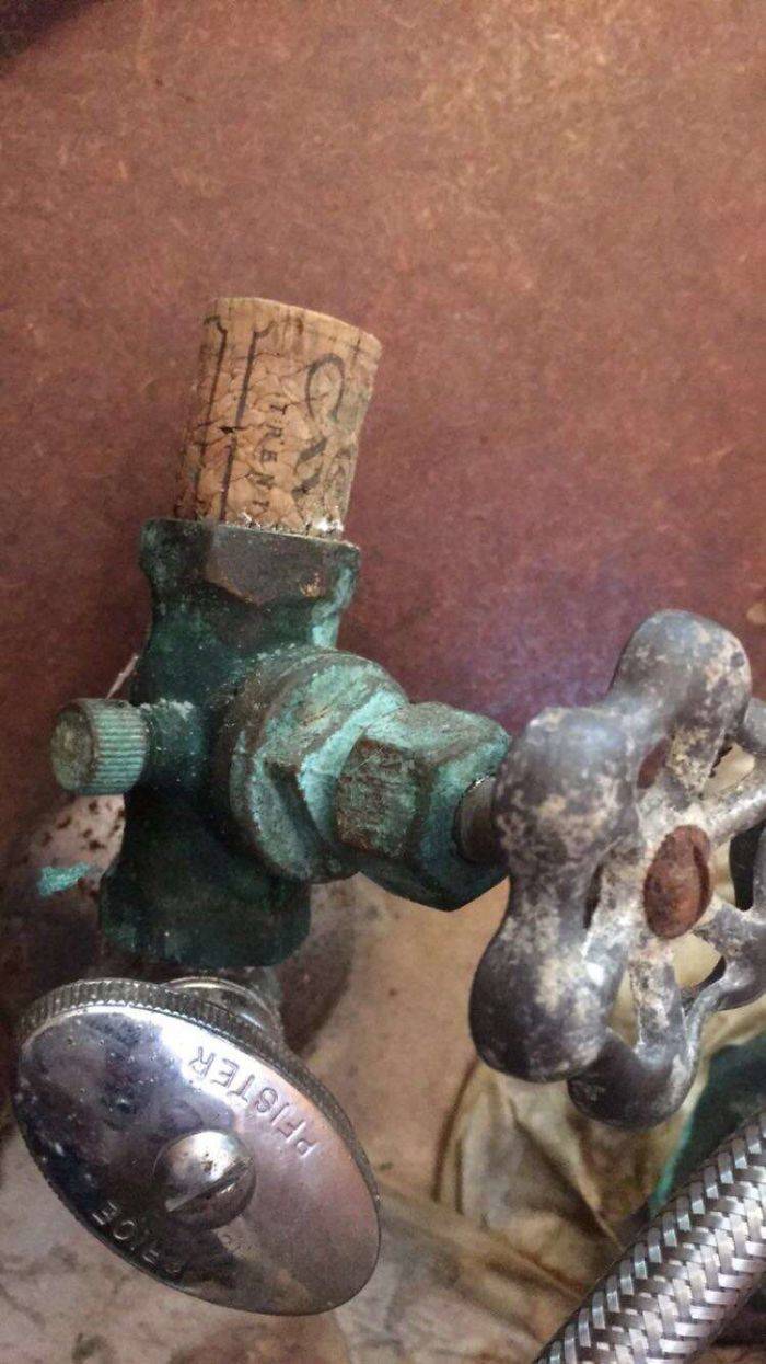 Plumbers See Some Weird Stuff While At Work
