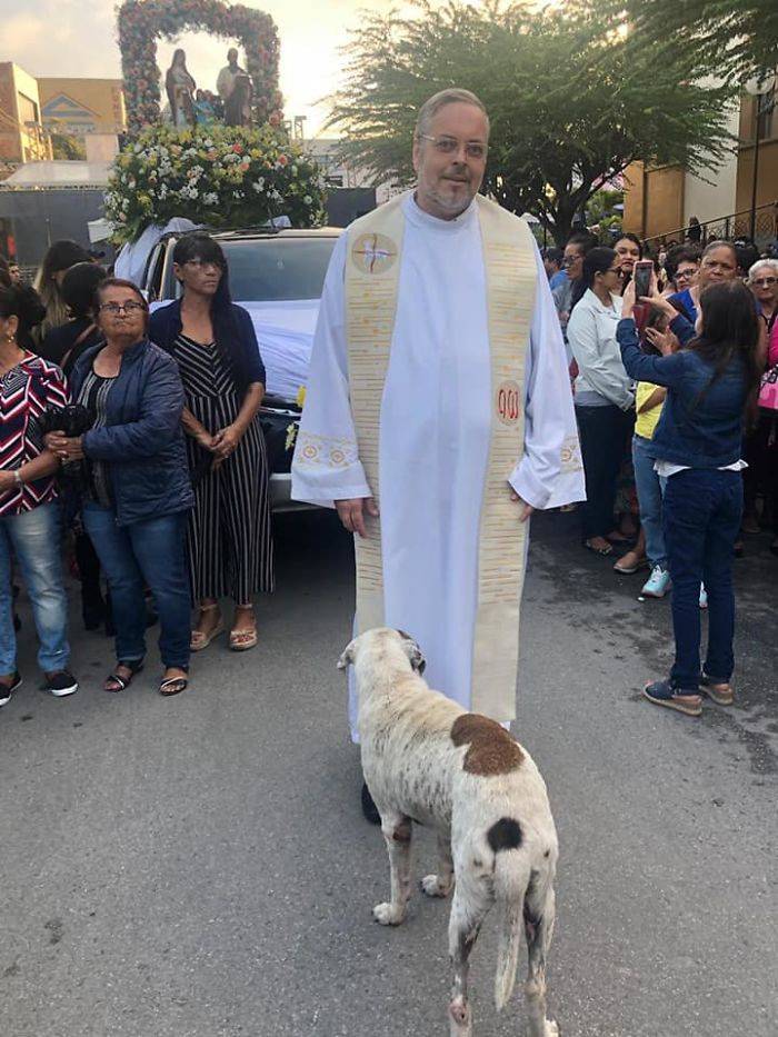 Abandoned Dogs Are Welcome In This Brazilian Priest’s Church