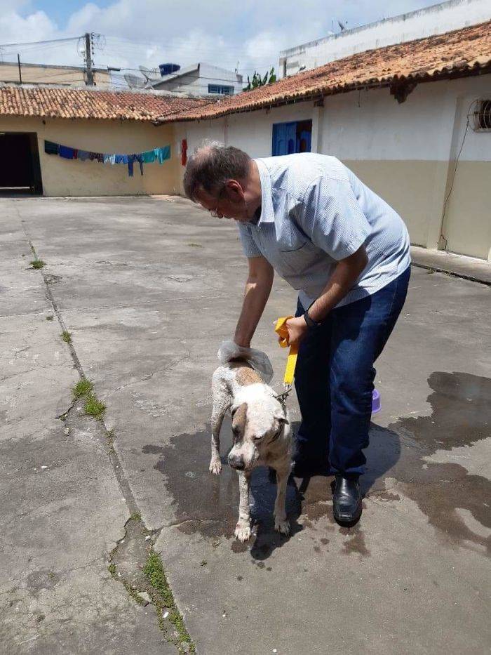Abandoned Dogs Are Welcome In This Brazilian Priest’s Church