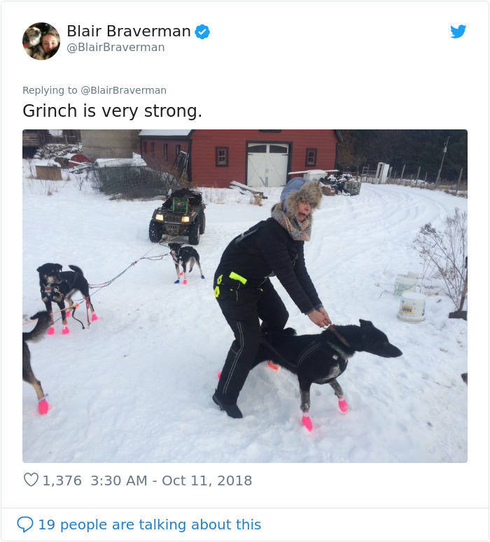 grinch dog sled