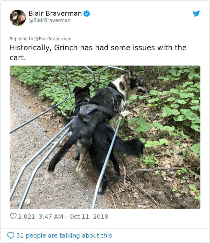 grinch dog sled
