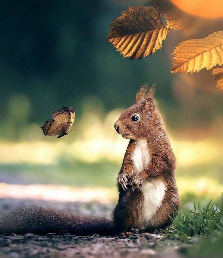 Fine Examples When A Picture Says More Than Just A Thousand Words