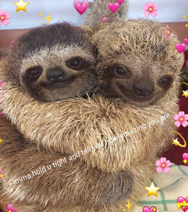 These Flirty Memes Are Just For The Two Of You