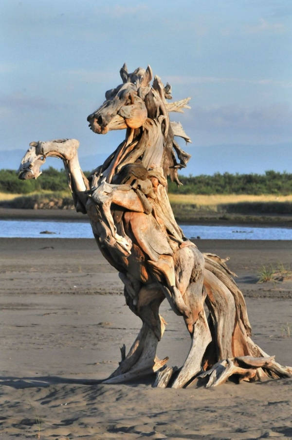 Driftwood? More Like Masterpiece Material!
