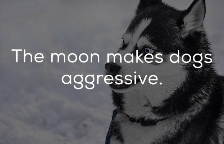 Don’t Howl At These Full Moon Myths