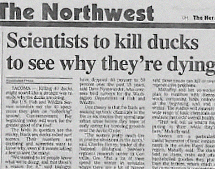 These Newspaper Headlines… Just Why?!