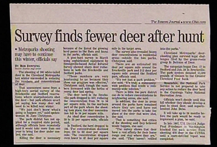 These Newspaper Headlines… Just Why?!