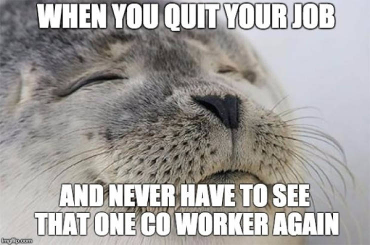 Are You Sick Of Your Job Too?