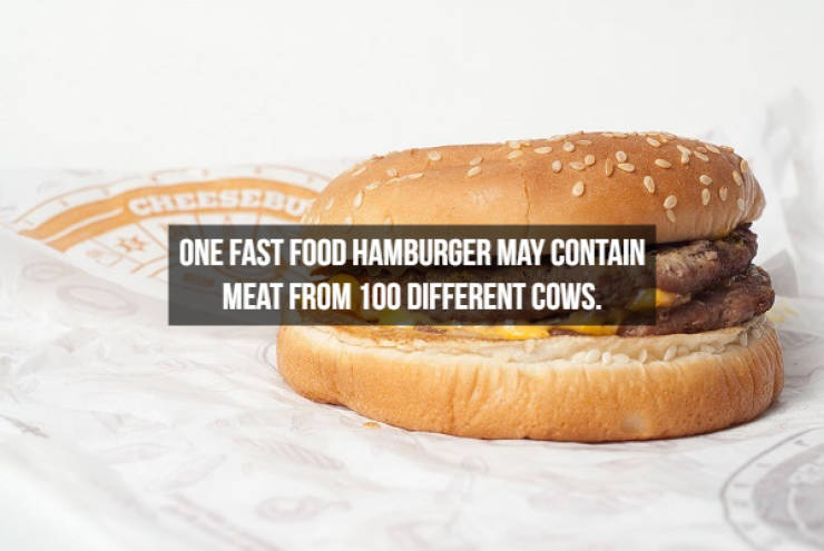 These Food Facts Are Delicious!