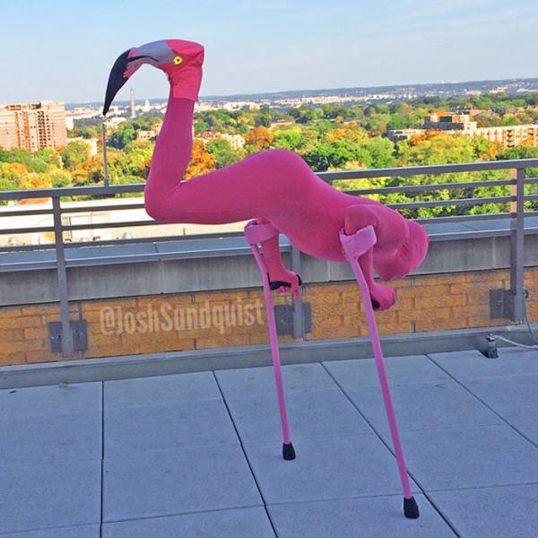One Leg Is More Than Enough For A Great Halloween Costume