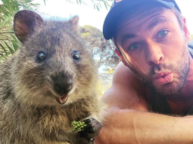 Why Everyone Loves Chris Hemsworth