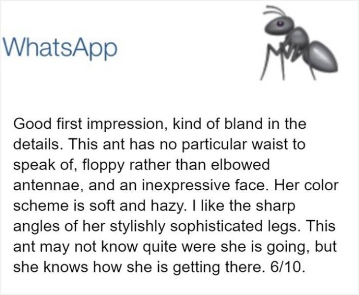 An Official Entomologist Ranking Of Ant Emojis. Yeah, That’s Right