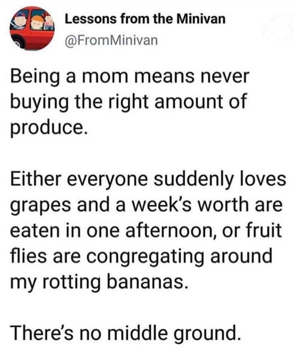 Kids Are Fun… Just Not For You