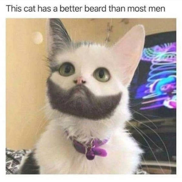 Don’t Let Your Food Get Stuck In These Beard Memes