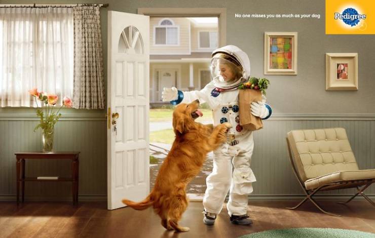 Ad Campaign Shows Just How Much A Dog Can Change Your Life
