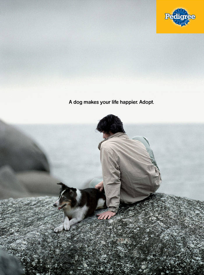 Ad Campaign Shows Just How Much A Dog Can Change Your Life