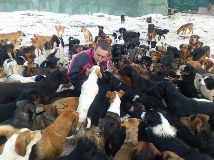 This Man Started Taking In Unwanted Dogs, Now There’s A Shelter With 750 Of Them