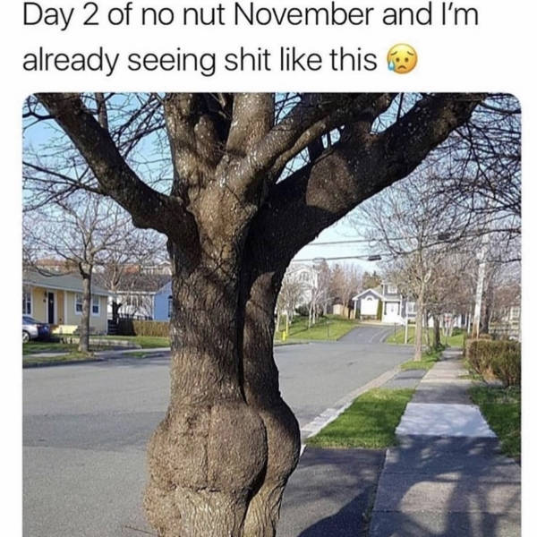 No Nut November Is Going To Be Tough