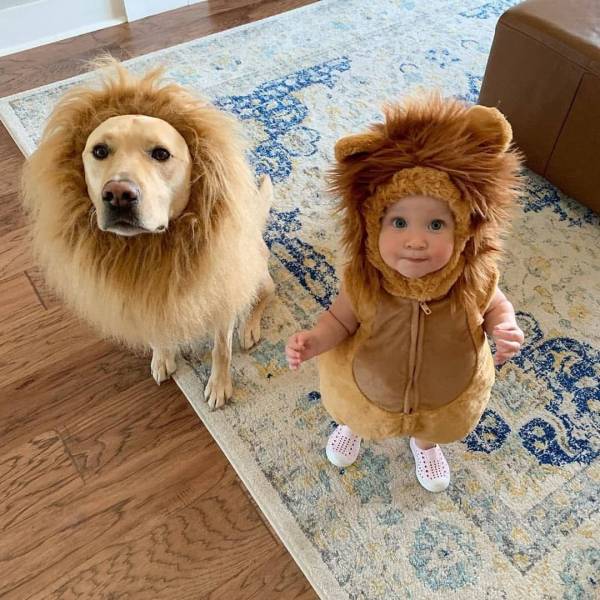 Daily Picdump