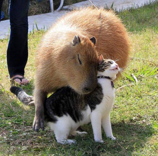 Daily Picdump
