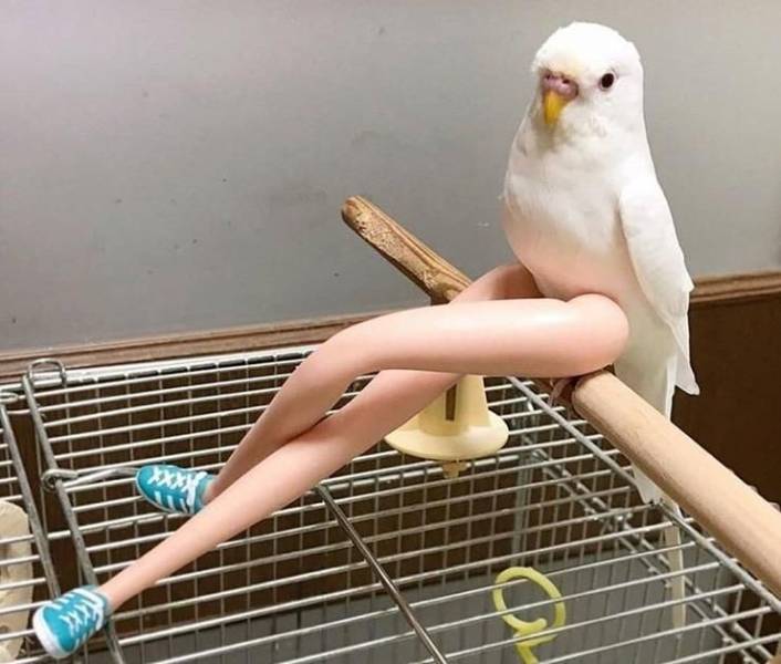 Daily Picdump