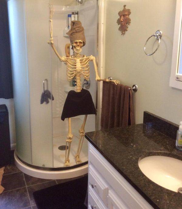 Daily Picdump