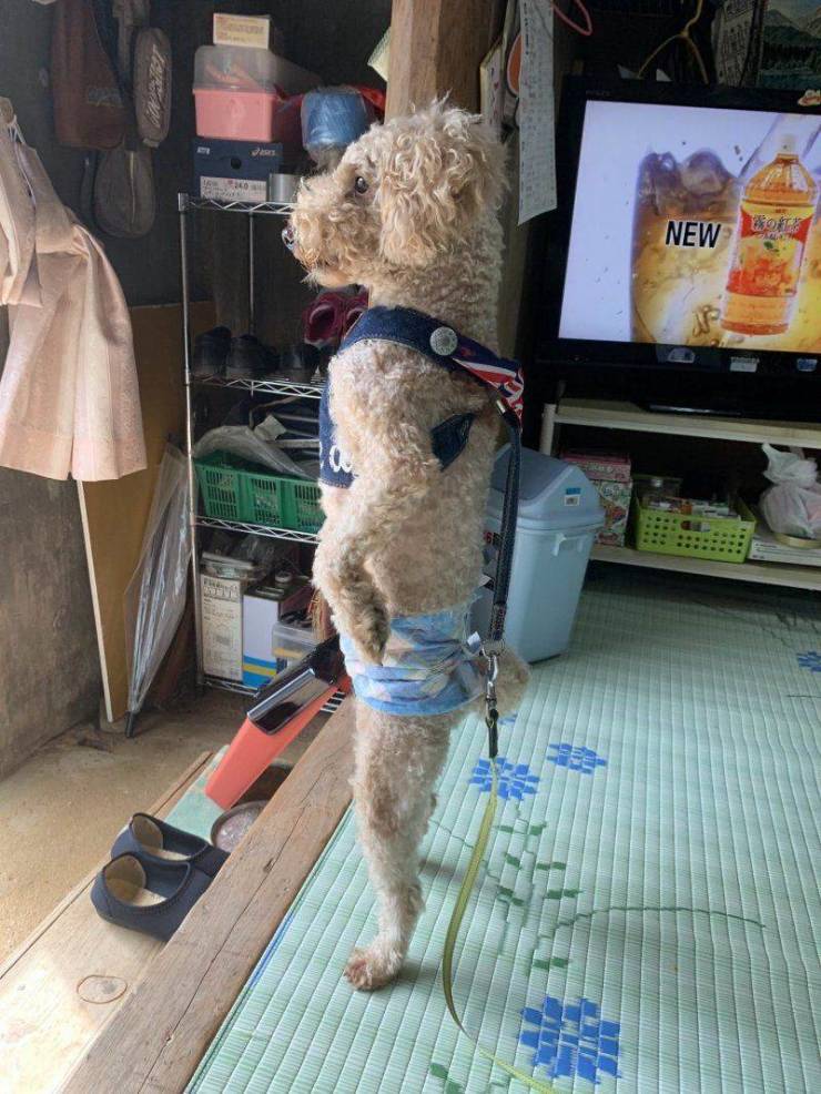 Daily Picdump