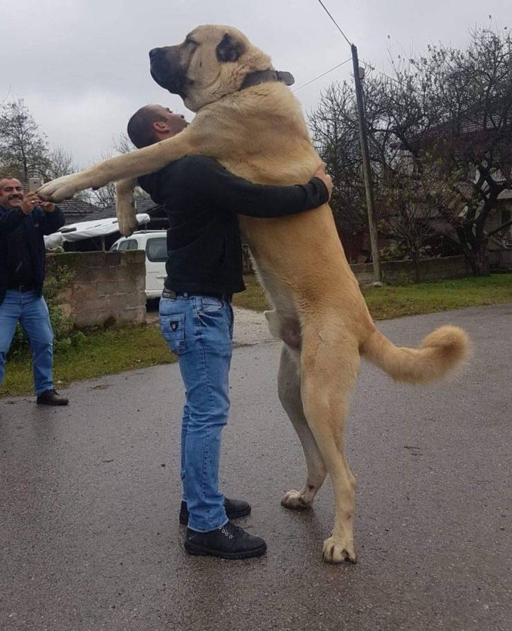 Daily Picdump